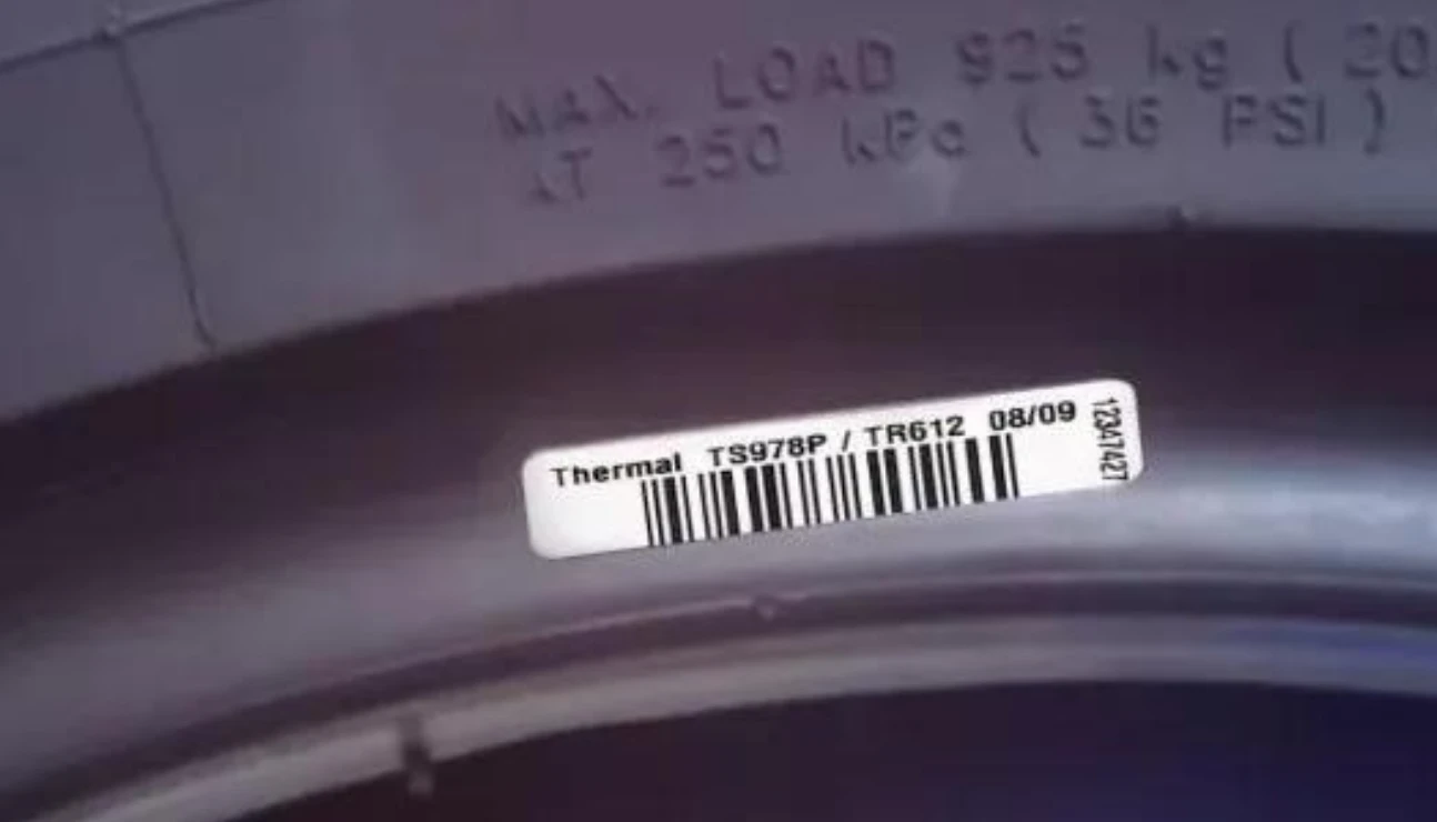 tire curing process tire curing process
